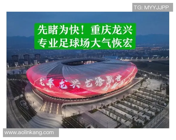 足球场的魅力与激情探秘足球文化的深厚底蕴与未来发展潜力